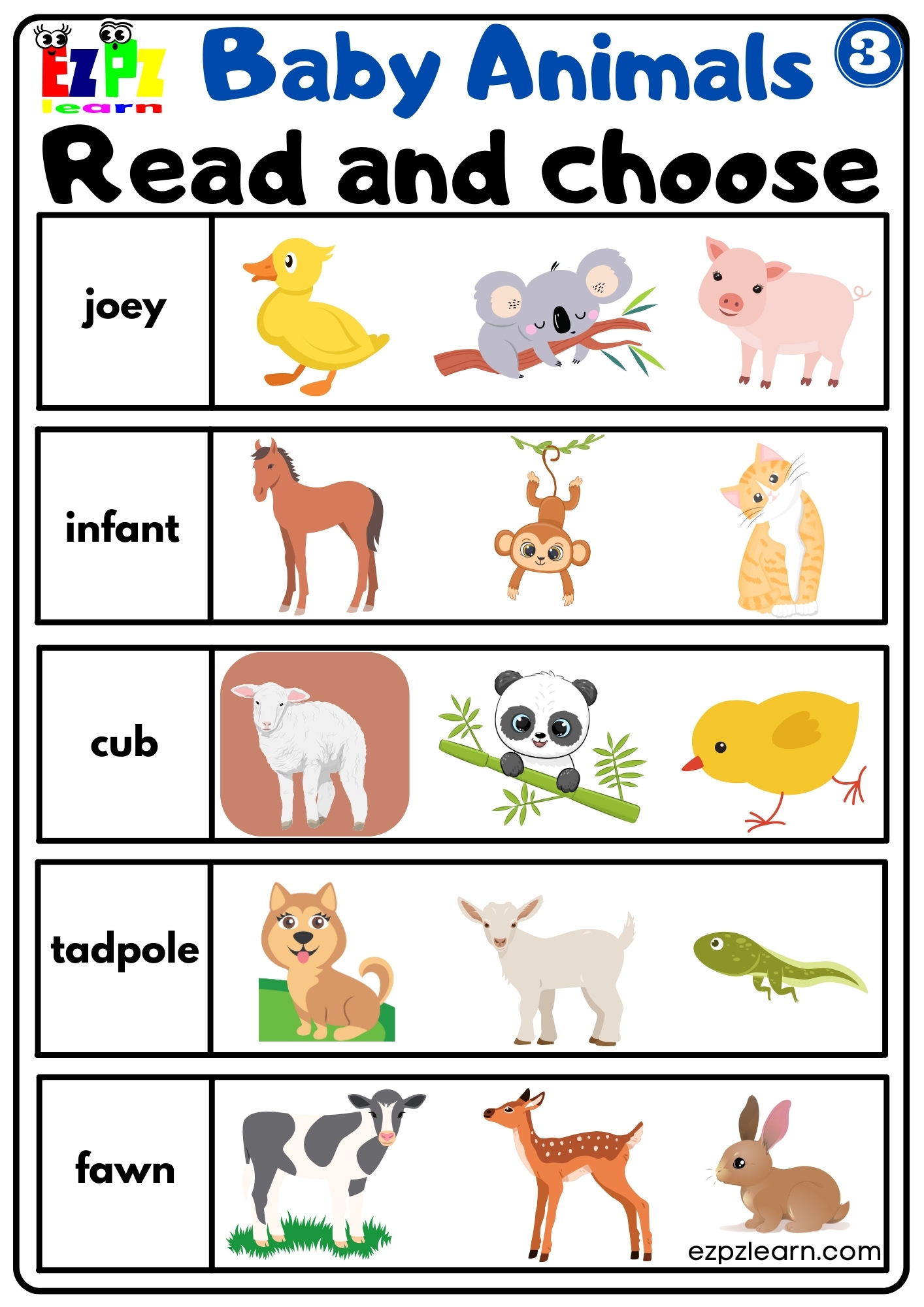 Baby Animals Vocabulary Read and Choose the Correct Images Activity for English Language